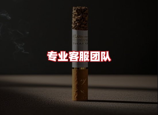 专业团队